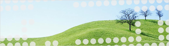 Example frontpage image
