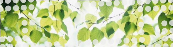 Example frontpage image